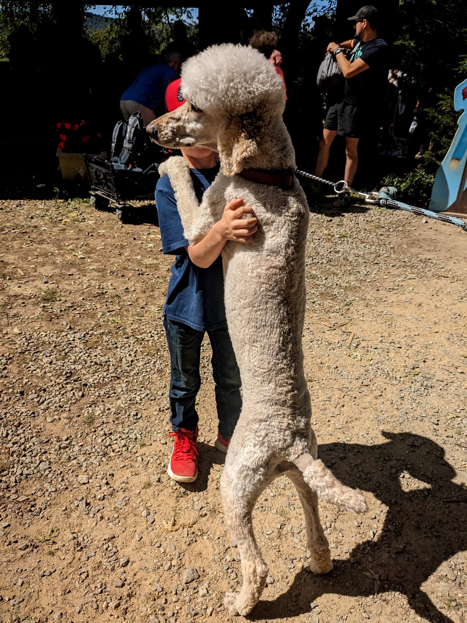 Wagner K9 trained dog