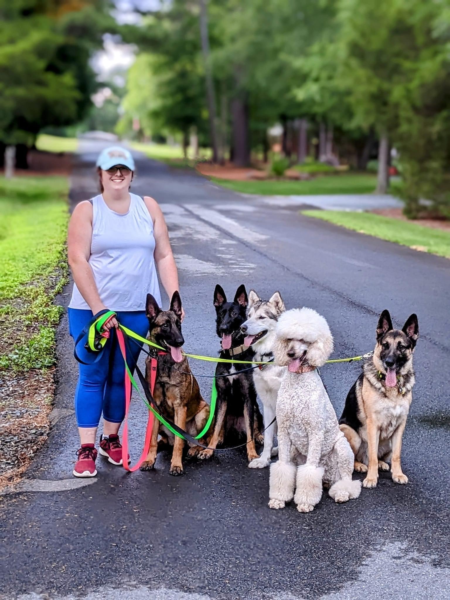 Wagner K9 trained dog