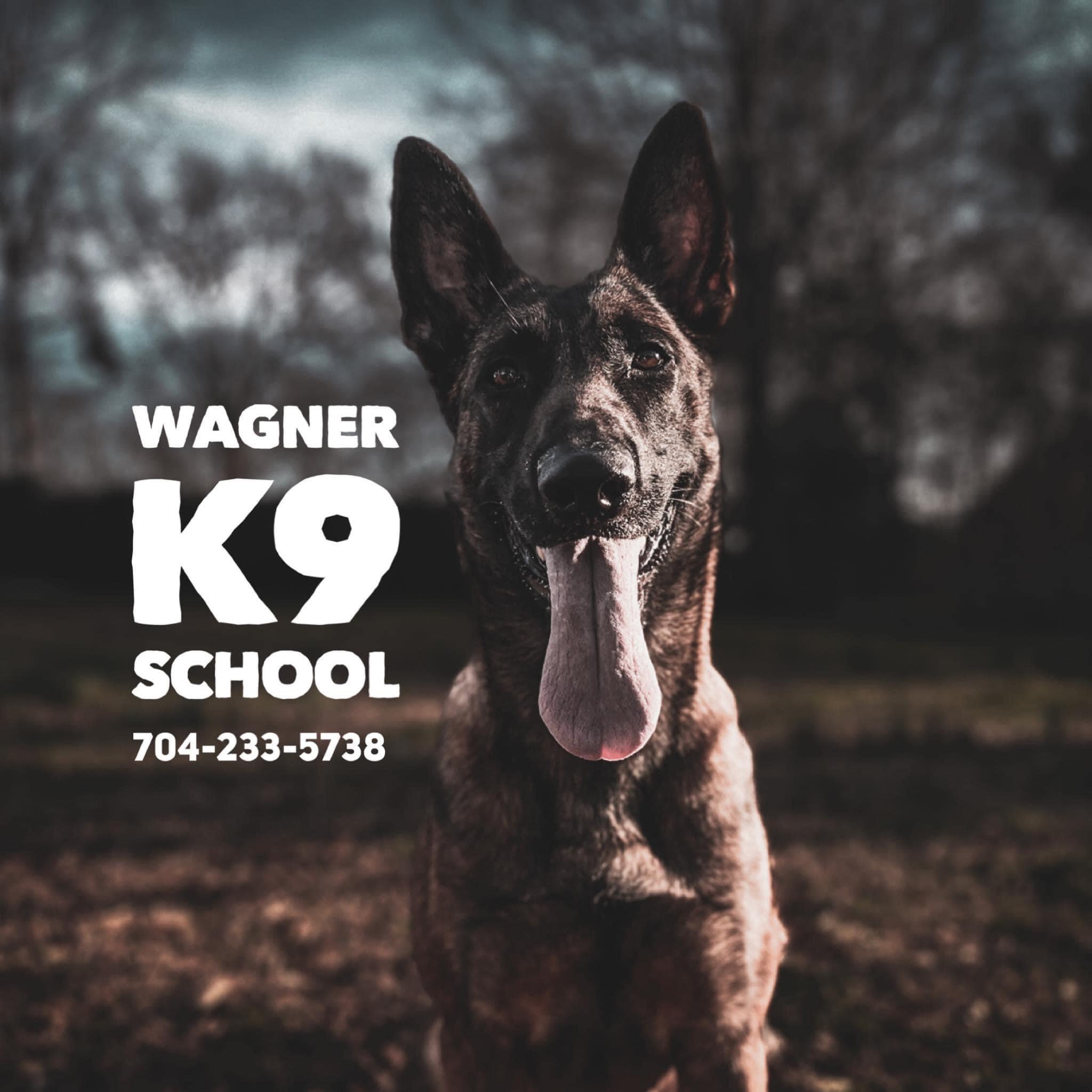 Wagner K9 trained dog